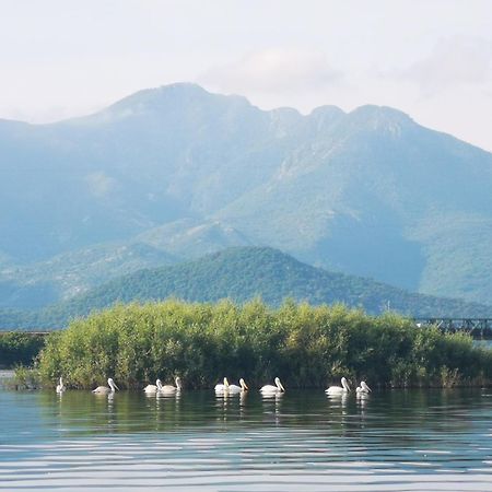Apartment Dapcevic Skadar Lake Vranjina المظهر الخارجي الصورة