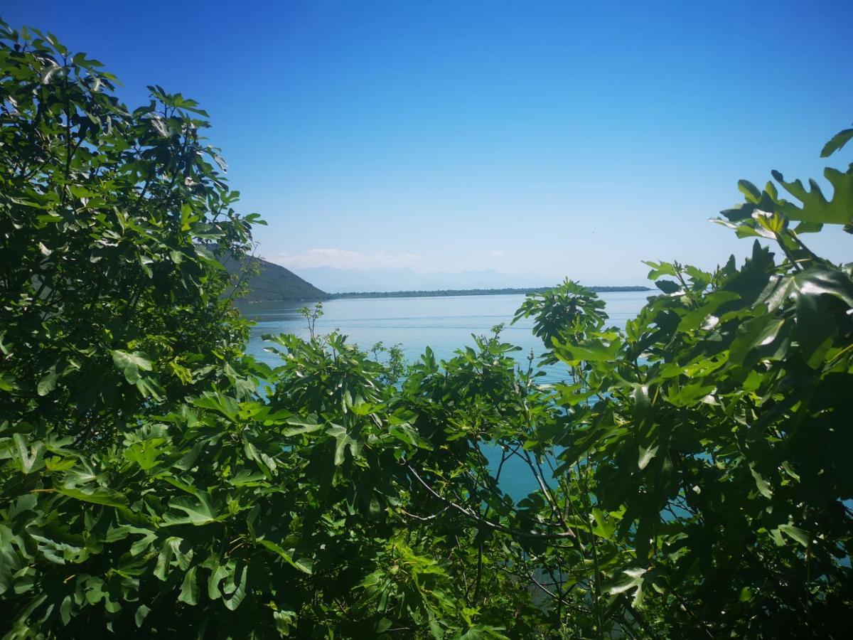 Apartment Dapcevic Skadar Lake Vranjina المظهر الخارجي الصورة