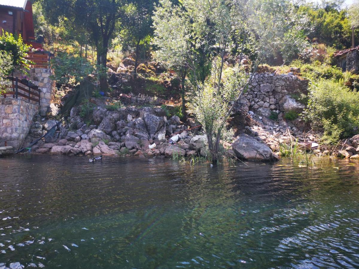 Apartment Dapcevic Skadar Lake Vranjina المظهر الخارجي الصورة